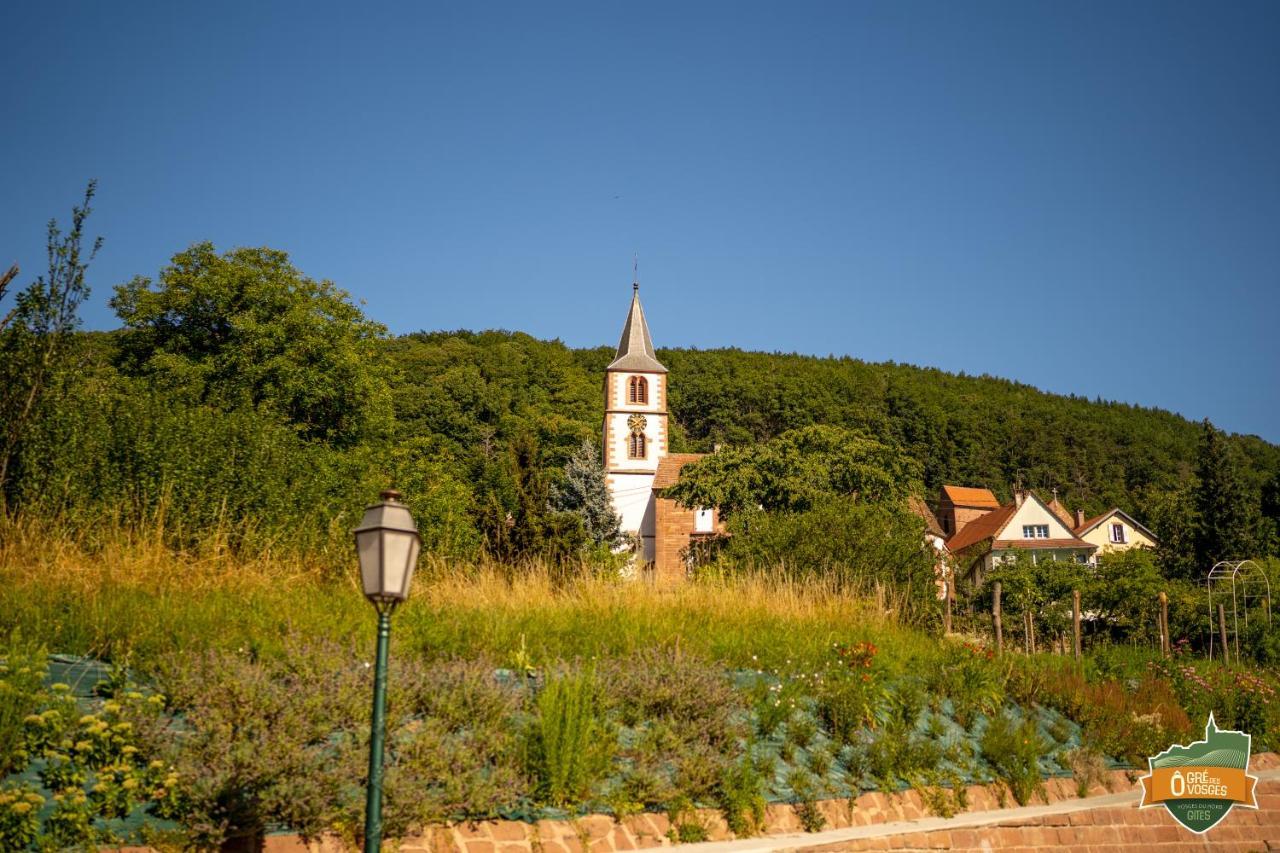 Gîte Ô Gré des Vosges Oberbronn Exterior foto