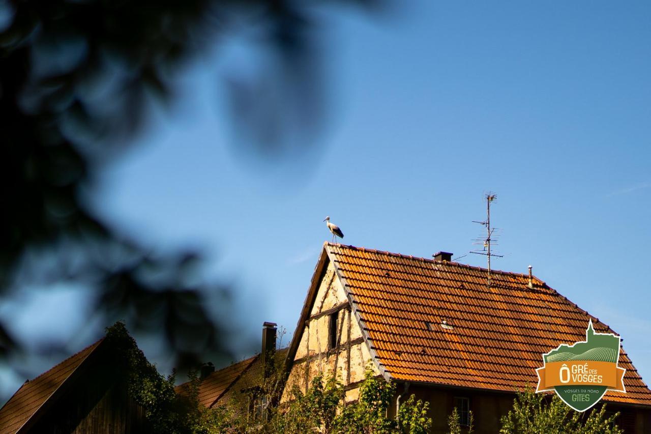 Gîte Ô Gré des Vosges Oberbronn Exterior foto