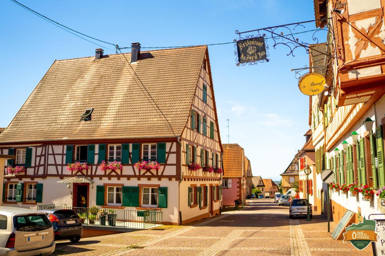 Gîte Ô Gré des Vosges Oberbronn Exterior foto