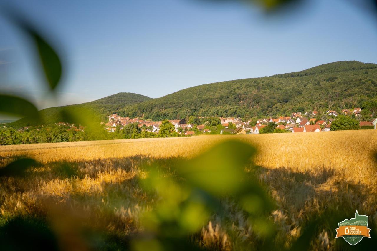 Gîte Ô Gré des Vosges Oberbronn Exterior foto