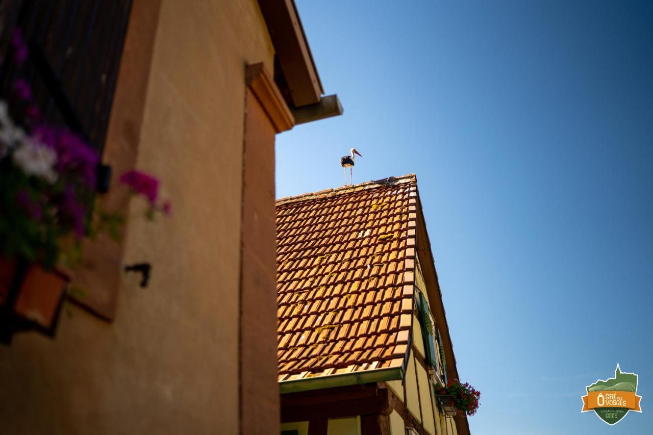 Gîte Ô Gré des Vosges Oberbronn Exterior foto