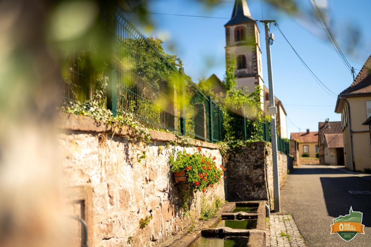 Gîte Ô Gré des Vosges Oberbronn Exterior foto